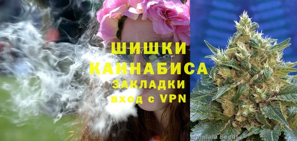 сатива Алзамай