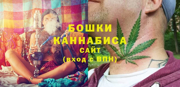 сатива Алзамай