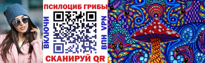 Псилоцибиновые грибы мицелий купить цена Весьегонск